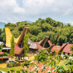 Jasa Tukang Profesional di Toraja – Solusi Tepat Konstruksi dan Renovasi