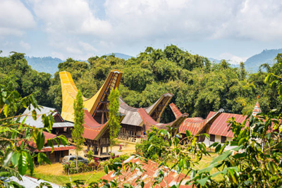 Jasa Tukang Profesional di Toraja – Solusi Tepat Konstruksi dan Renovasi